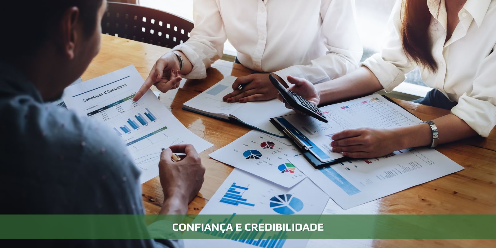 Figura 2 - AUDITORIA CONTÁBIL. GUIA PARA NÃO ESPECIALISTAS